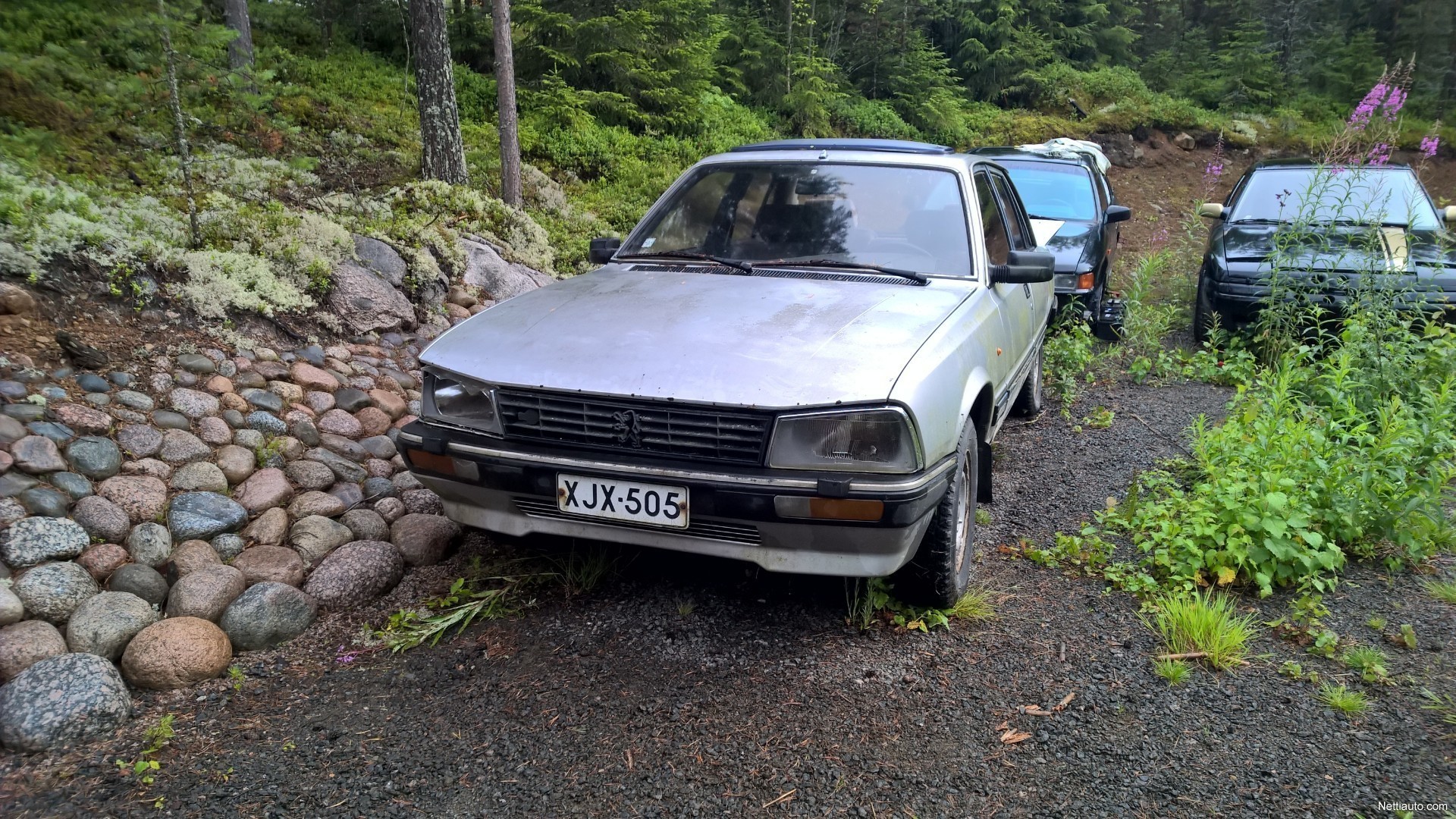 Peugeot 505