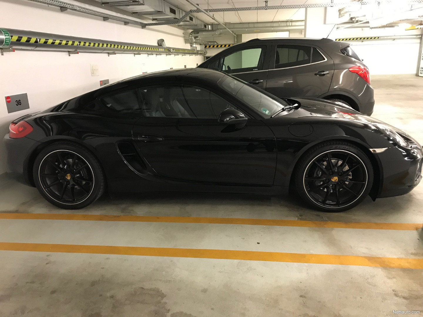Porsche Cayman