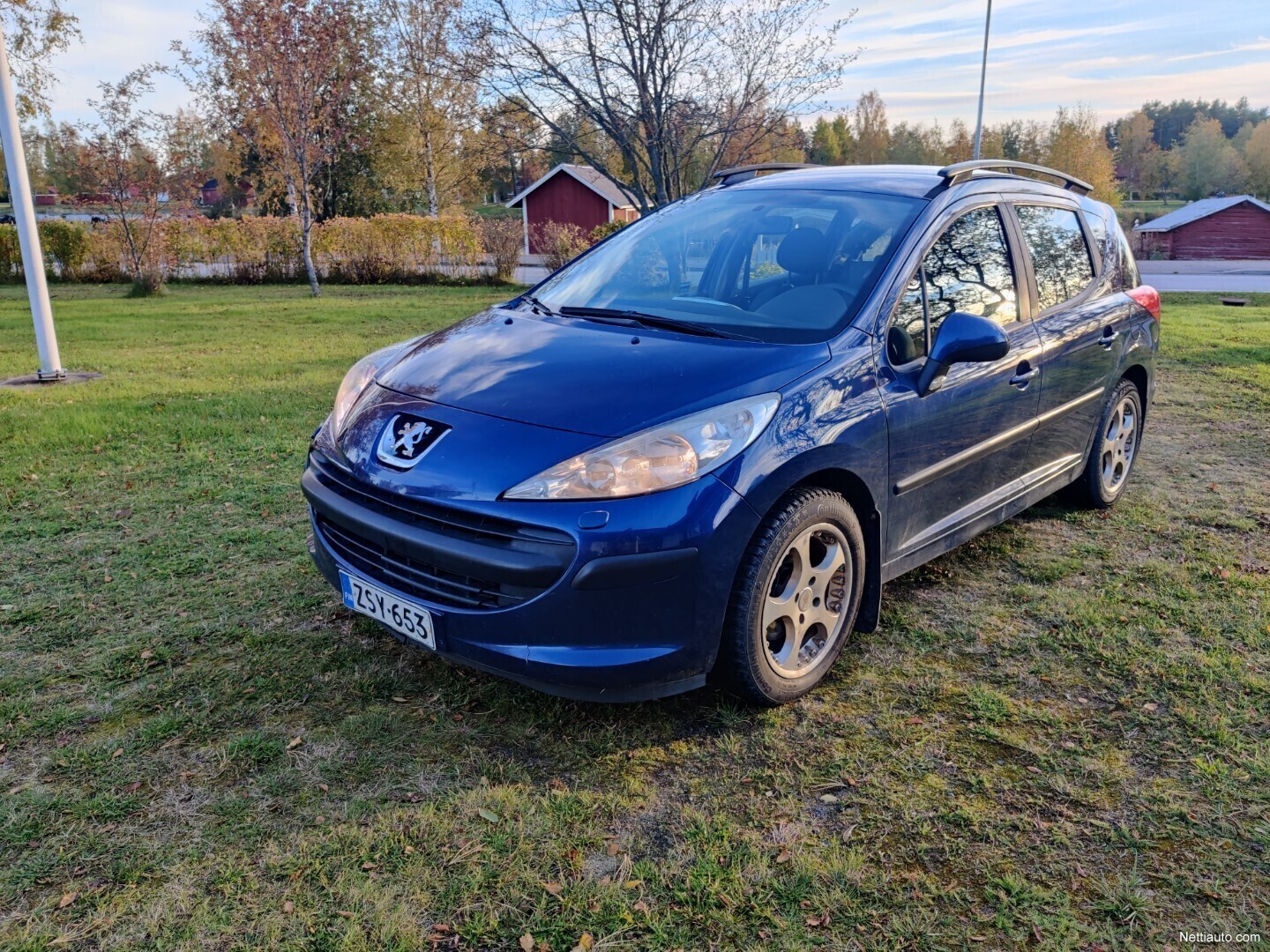 Peugeot 207